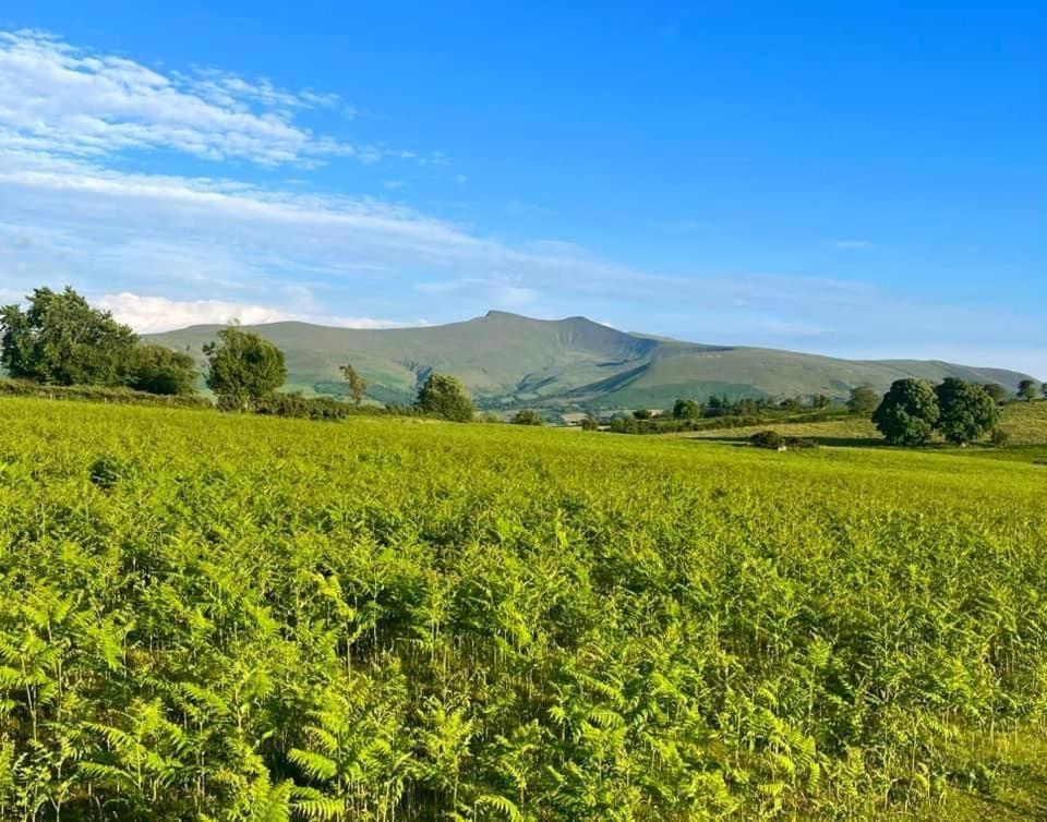 Little Cottage Of The Beacons Brecon Eksteriør billede