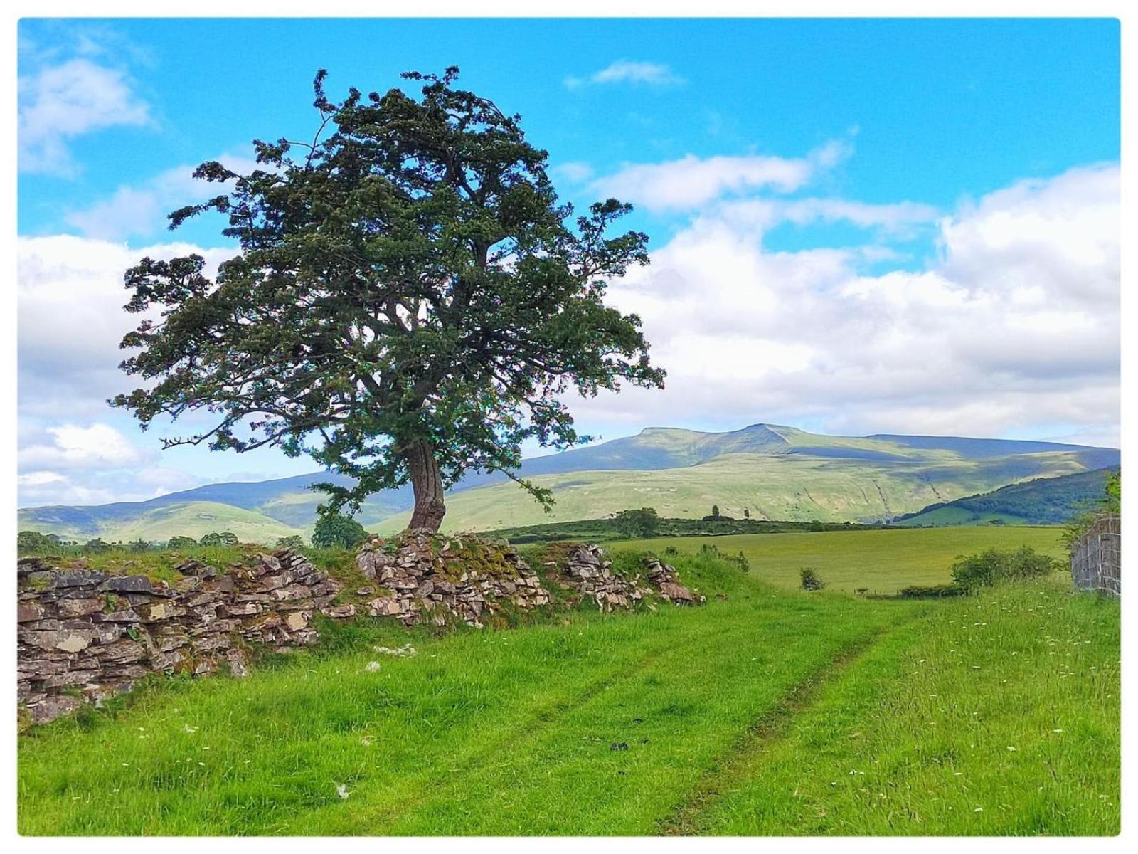 Little Cottage Of The Beacons Brecon Eksteriør billede